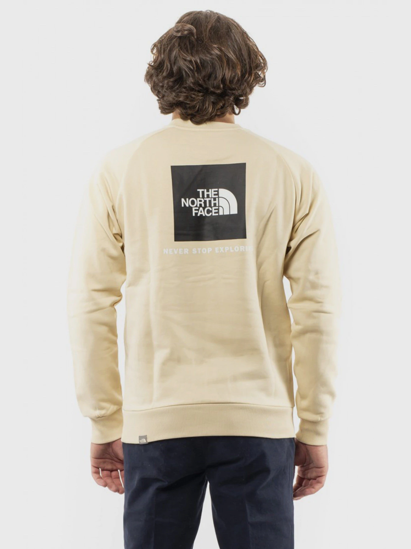 Худи и свитшоты The North Face Raglan Redbox модель NF0A4SZ9RB61 Худи и свитшоты The North Face Raglan Redbox модель NF0A4SZ9RB61 Фото