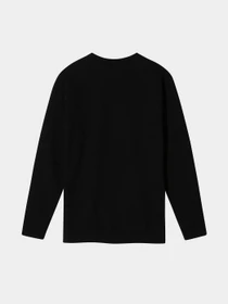 Худі та світшоти Vans CLASSIC CREW II модель VN0A456AY281 Фото