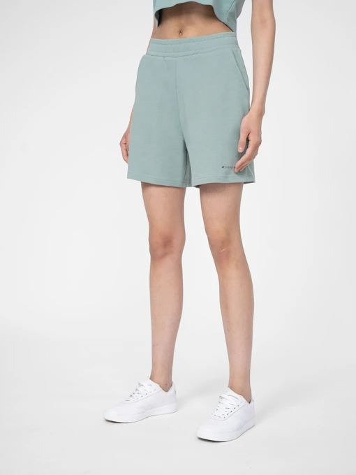 Шорти 4F Beachwear Passion модель 4FSS23TSHOF172-47S Фото