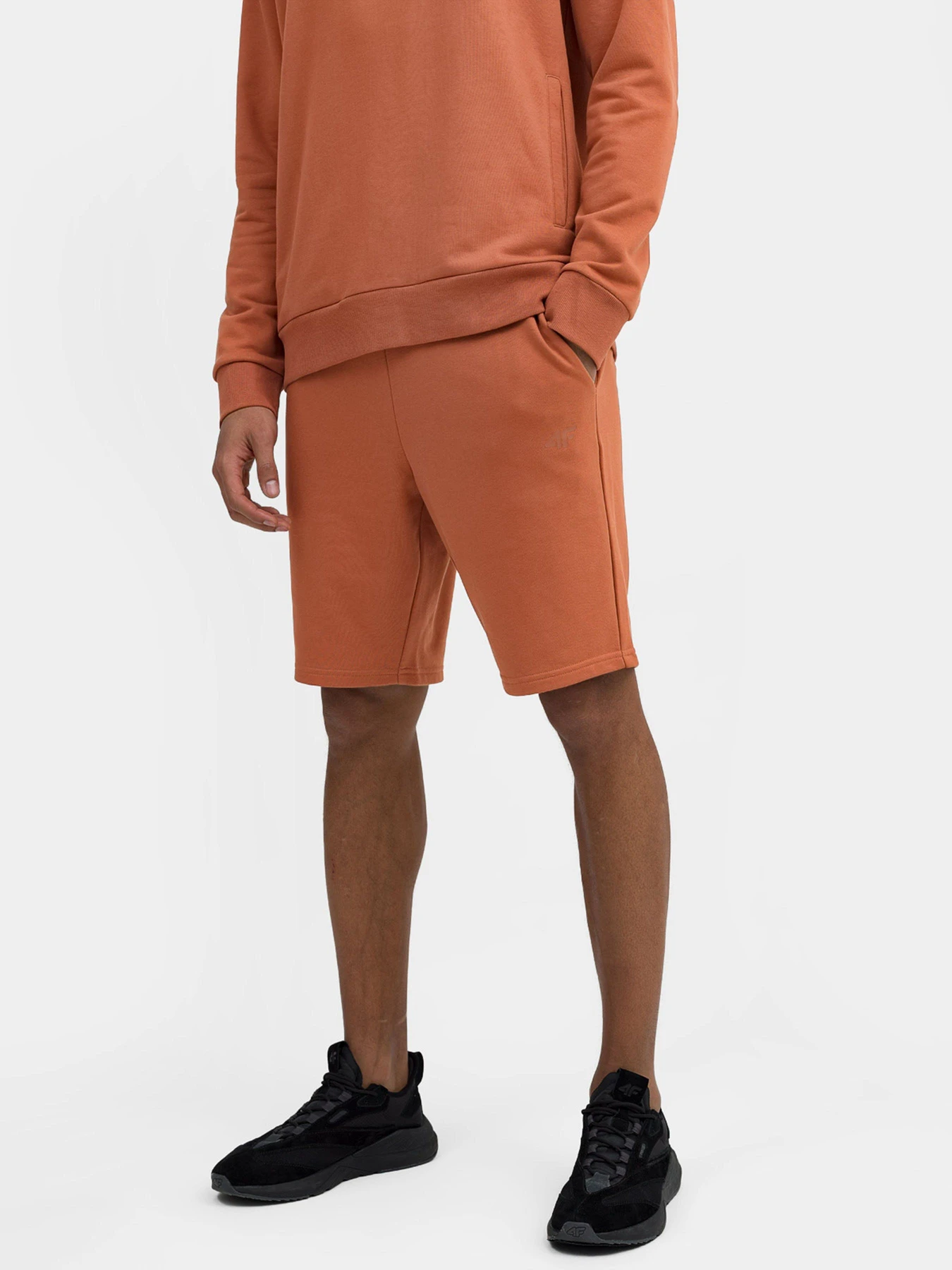 Шорти 4F Basic+ модель 4FSS23TSHOM085-81S Шорти 4F Basic+ модель 4FSS23TSHOM085-81S Фото