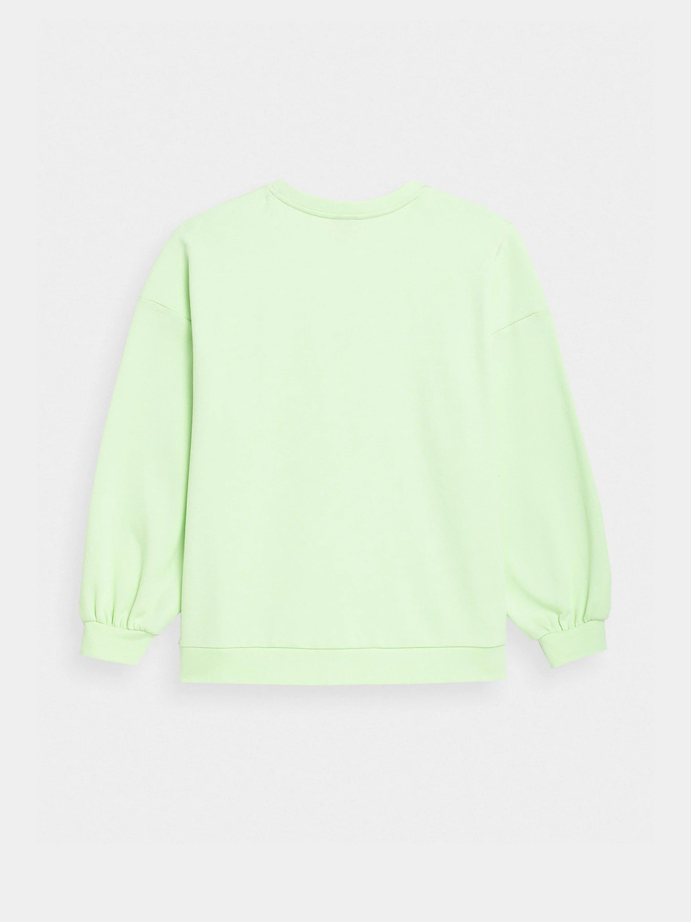 Худи и свитшоты 4F Sweatshirt F254 модель 4FSS23TSWSF254-42S Худи и свитшоты 4F Sweatshirt F254 модель 4FSS23TSWSF254-42S Фото