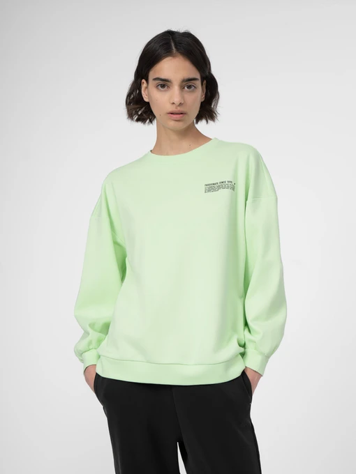 Худи и свитшоты 4F Sweatshirt F254 модель 4FSS23TSWSF254-42S Фото