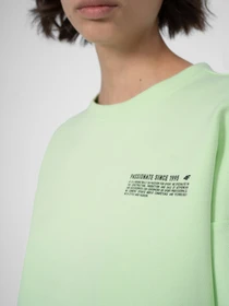 Худи и свитшоты 4F Sweatshirt F254 модель 4FSS23TSWSF254-42S Фото