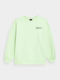 Худи и свитшоты 4F Sweatshirt F254 модель 4FSS23TSWSF254-42S Фото