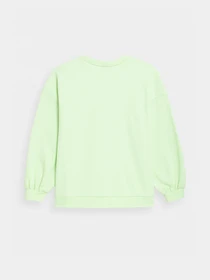 Худи и свитшоты 4F Sweatshirt F254 модель 4FSS23TSWSF254-42S Фото