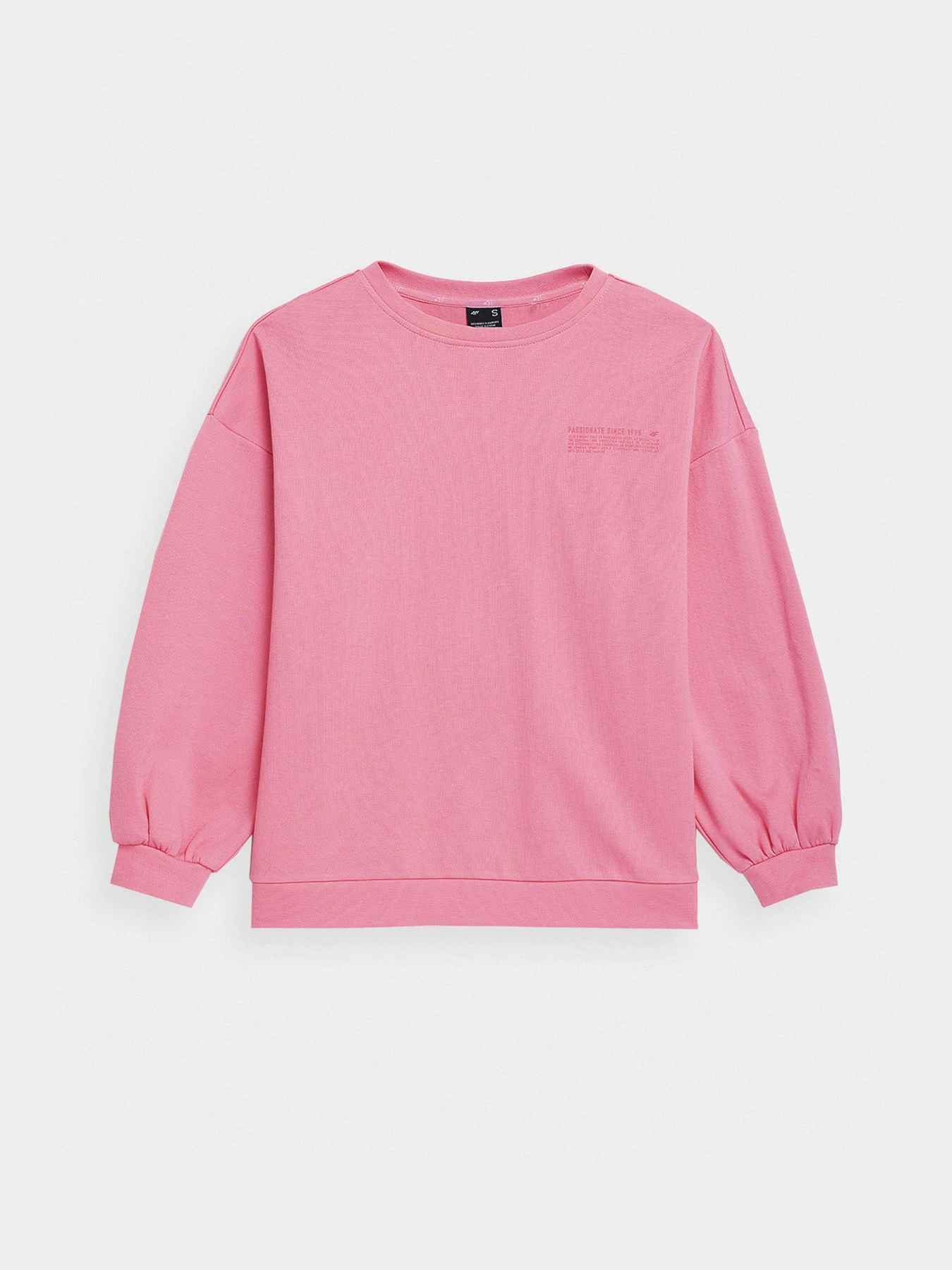Худі та світшоти 4F Sweatshirt F254 модель 4FSS23TSWSF254-54S Худі та світшоти 4F Sweatshirt F254 модель 4FSS23TSWSF254-54S Фото