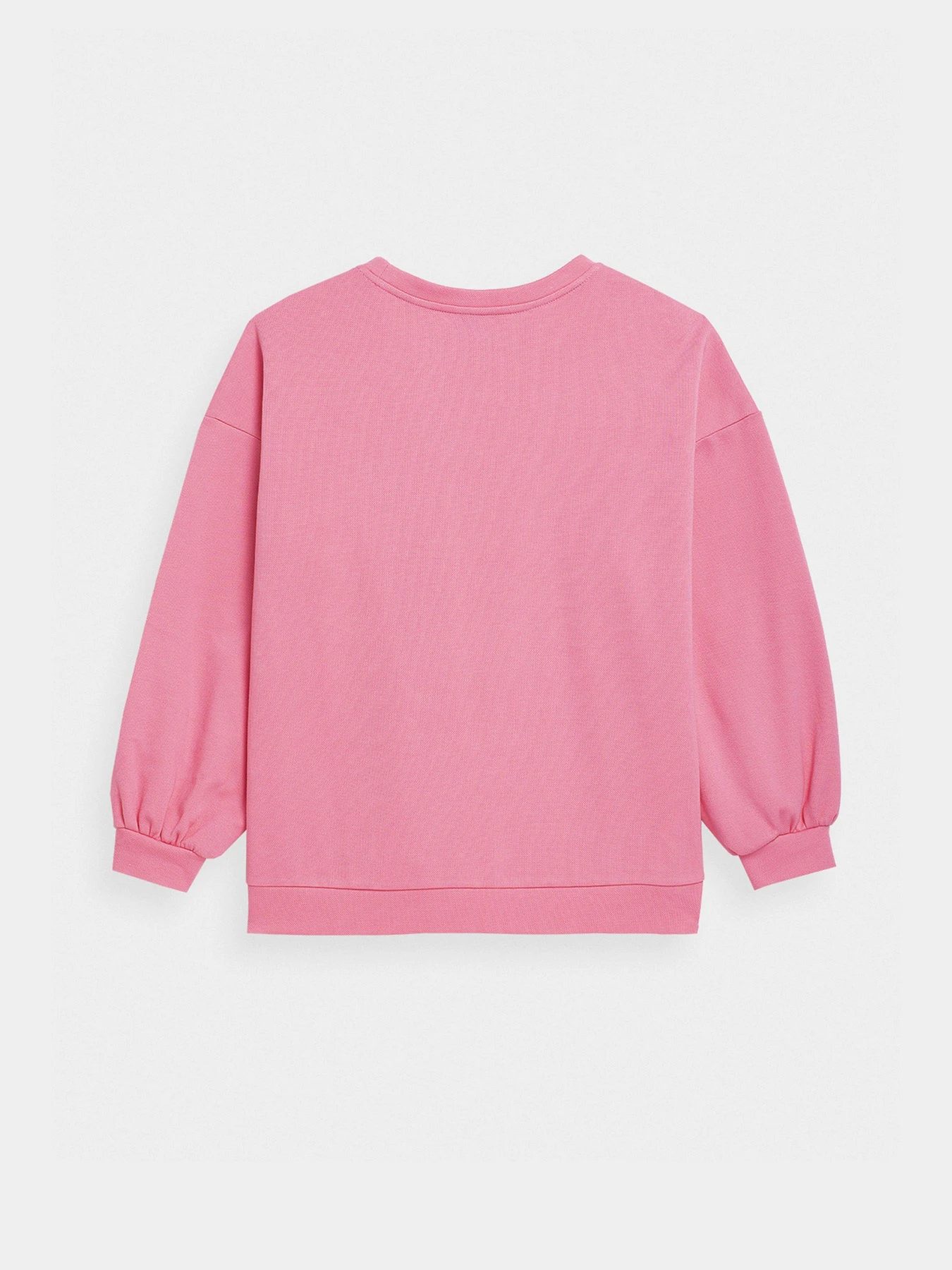Худі та світшоти 4F Sweatshirt F254 модель 4FSS23TSWSF254-54S Худі та світшоти 4F Sweatshirt F254 модель 4FSS23TSWSF254-54S Фото