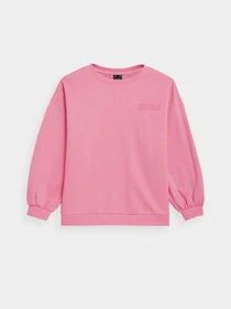 Худі та світшоти 4F Sweatshirt F254 модель 4FSS23TSWSF254-54S Фото