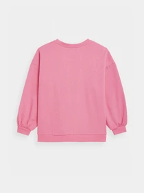 Худі та світшоти 4F Sweatshirt F254 модель 4FSS23TSWSF254-54S Фото