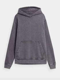 Худи и свитшоты 4F Modern Explorer модель 4FSS23TSWSM223-22S Фото