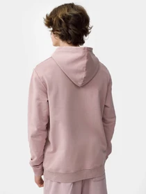 Худи и свитшоты 4F Modern Explorer модель 4FSS23TSWSM223-65S Фото