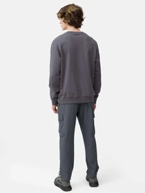 Брюки 4F Modern Explorer модель 4FSS23TTROM136-22S Фото