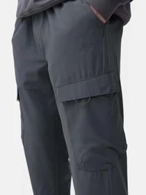 Брюки 4F Modern Explorer модель 4FSS23TTROM136-22S Фото