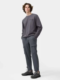 Брюки 4F Modern Explorer модель 4FSS23TTROM136-22S Фото