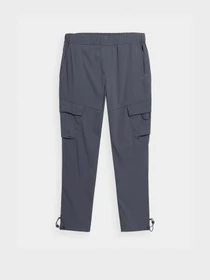 Брюки 4F Modern Explorer модель 4FSS23TTROM136-22S Фото