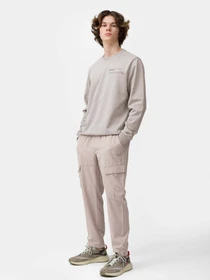 Брюки 4F Modern Explorer модель 4FSS23TTROM136-83S Фото