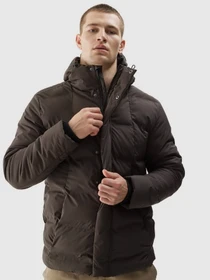 Куртки и дубленки 4F Outerwear модель 4FAW23TDJAM249-43S Фото