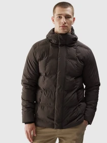 Куртки и дубленки 4F Outerwear модель 4FAW23TDJAM249-43S Фото