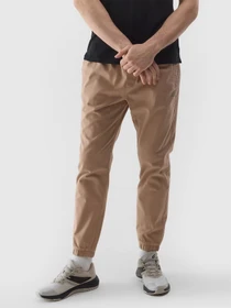 Брюки 4F TROUSERS CAS M646 модель 4FWSS24TTROM646-83S Фото