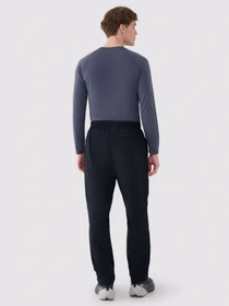 Брюки 4F M0790 модель 4FWSS25TFTRM0790-20S Фото