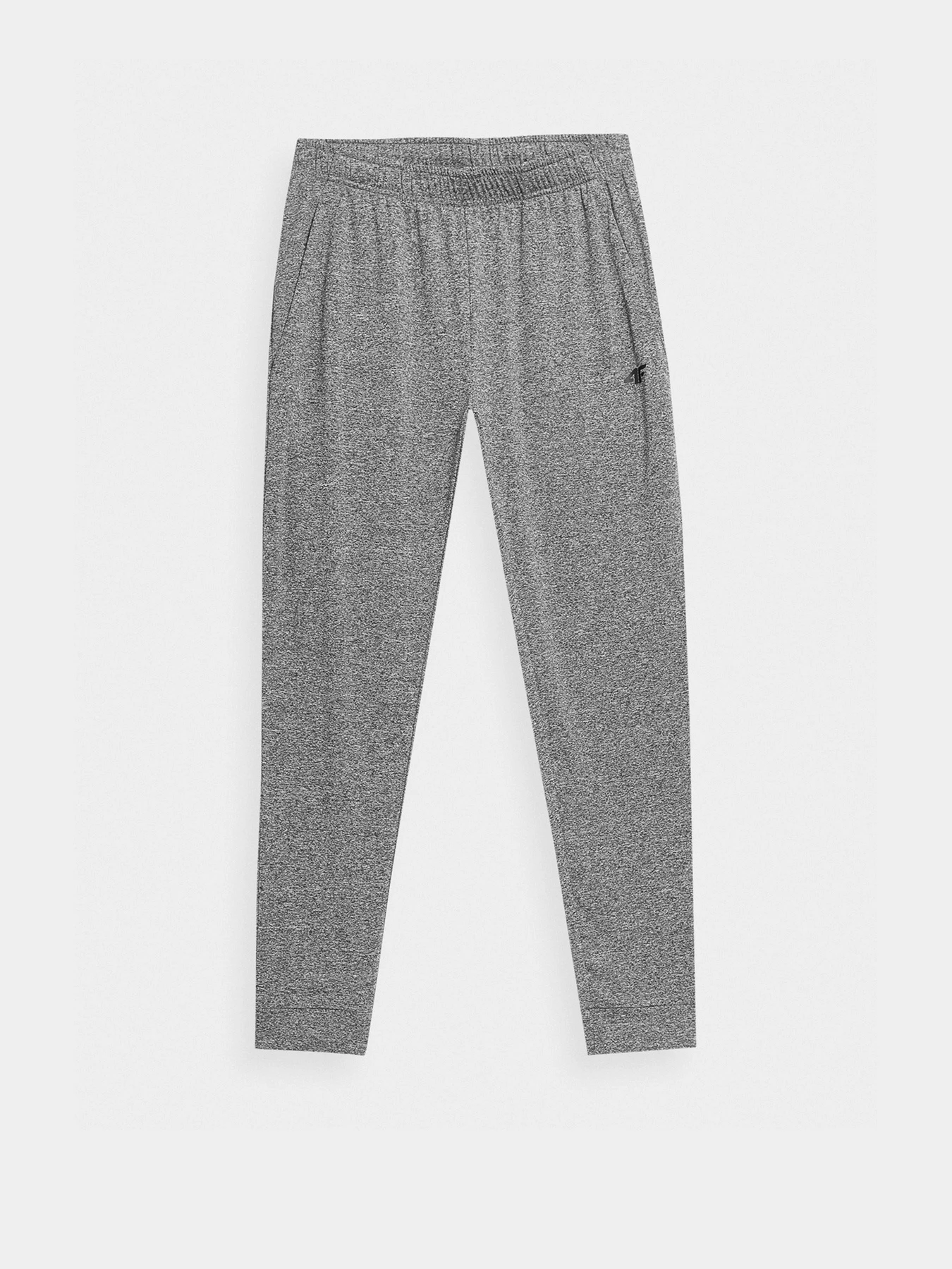 Брюки 4F Basic модель 4FSS23TFTRM167-27M Брюки 4F Basic модель 4FSS23TFTRM167-27M Фото