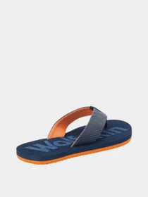 Шльопанці Jack Wolfskin Eezy модель 4039511_1188 Фото