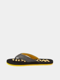 Шльопанці Jack Wolfskin Eezy модель 4039511_6069 Фото