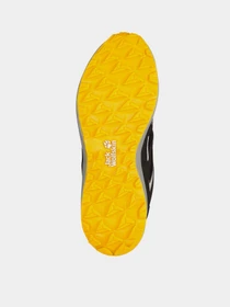 Кросівки Jack Wolfskin Vojo 3 Vent Low модель 4051221_6357 Фото