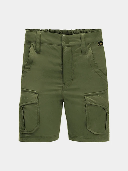 Шорты Jack Wolfskin Treasure Hunter модель 1608401_4129 Фото