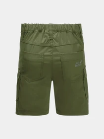 Шорты Jack Wolfskin Treasure Hunter модель 1608401_4129 Фото