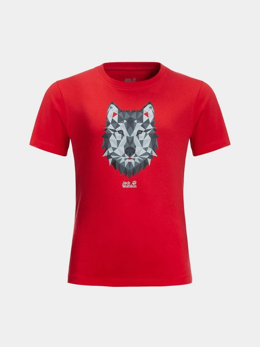 Футболки и поло Jack Wolfskin Brand Wolf модель 1609421_2015 Фото
