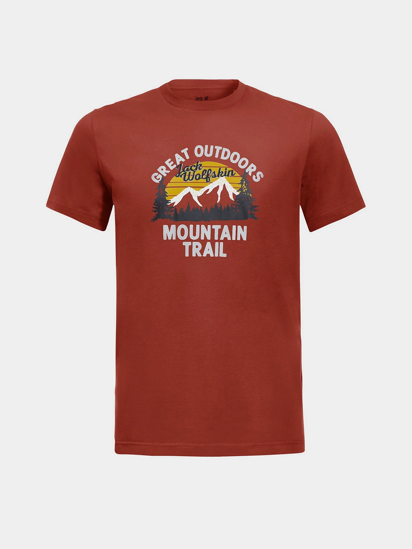 Футболки і поло Jack Wolfskin Mountain Trail модель 1808401_3740 Фото
