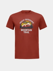 Футболки і поло Jack Wolfskin Mountain Trail модель 1808401_3740 Фото