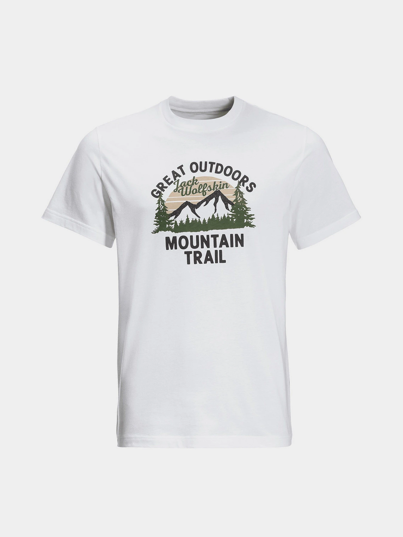 Футболки і поло Jack Wolfskin Mountain Trail модель 1808401_5018 Фото
