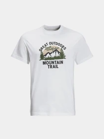 Футболки і поло Jack Wolfskin Mountain Trail модель 1808401_5018 Фото