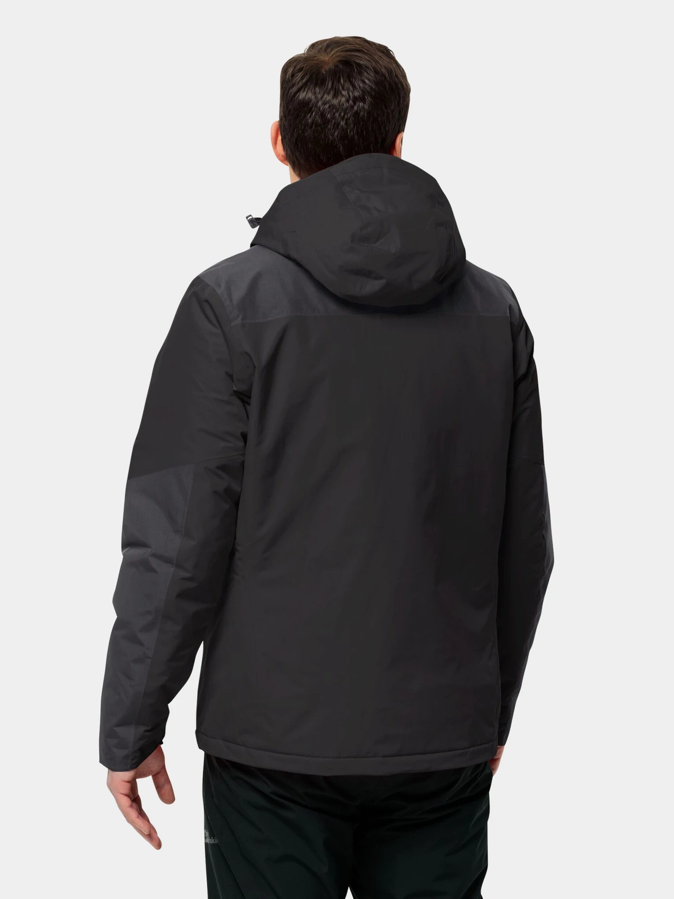 Куртки и дубленки Jack Wolfskin Jasper модель 1114321_6000 Фото