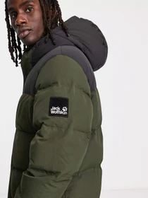 Куртки та дублянки Jack Wolfskin Alex Long Down модель 1207251_4018 Фото