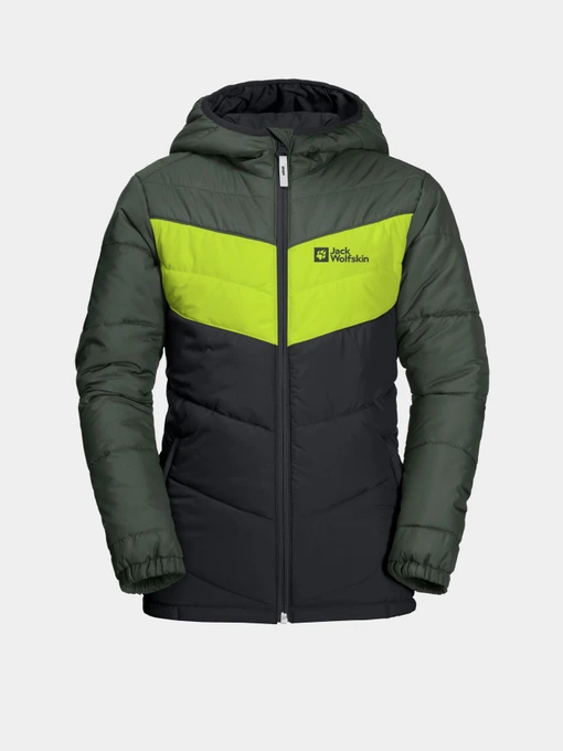 Куртки и дубленки Jack Wolfskin Three Hills модель 1608631_6350 Фото