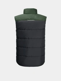 Куртки и дубленки Jack Wolfskin Three Hills модель 1608641_6350_164 Фото