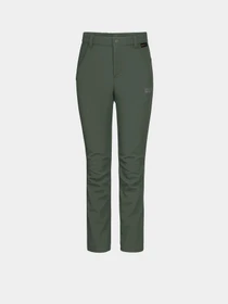 Брюки Jack Wolfskin Fourwinds модель 1609221_5032 Фото