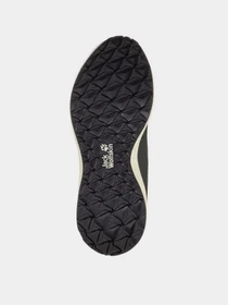 Кроссовки Jack Wolfskin Villi Sneaker Low модель 4056841_4311 Фото