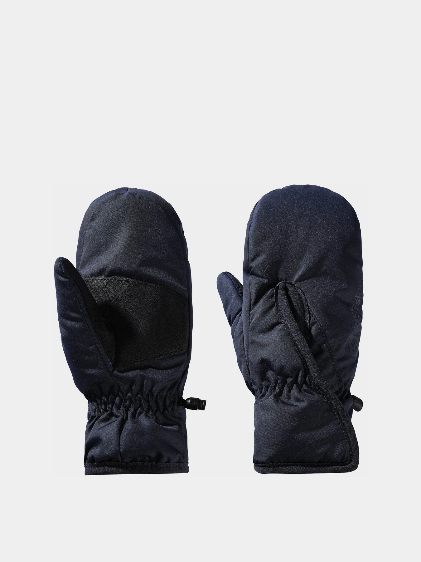 Перчатки и варежки Jack Wolfskin Easy Entry модель 1900187_1010 Фото