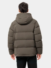 Куртки и дубленки Jack Wolfskin Roemertor модель 1207421_5719 Фото