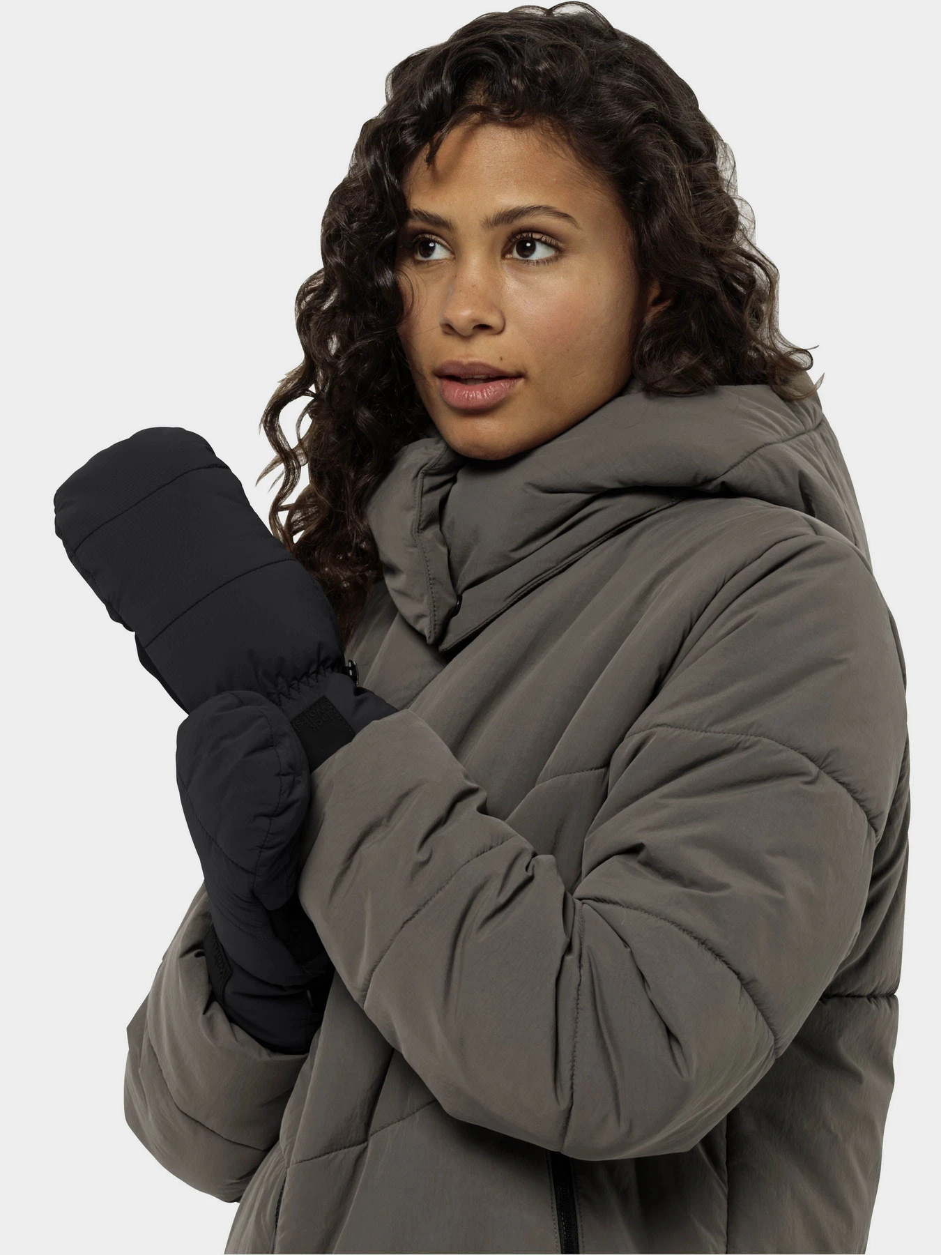Перчатки и варежки Jack Wolfskin Roemertor модель 1911551_6350 Фото