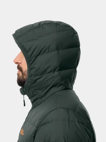 Куртки и дубленки Jack Wolfskin Ather Down Hoody модель 1207671_4161 Фото