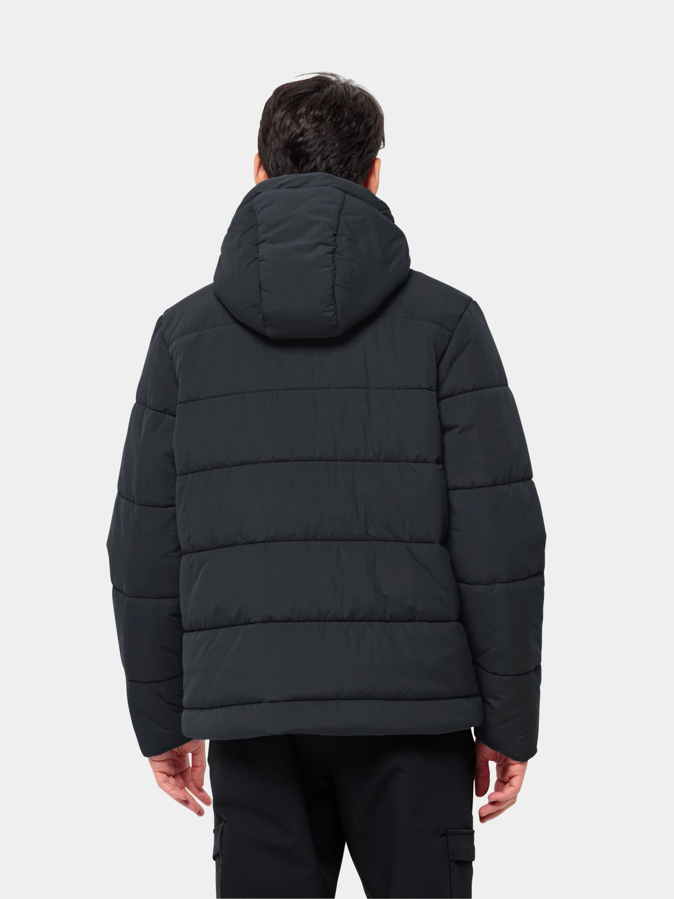 Куртки та дублянки Jack Wolfskin модель 1207831_6350 Фото