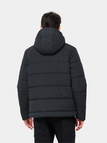Куртки та дублянки Jack Wolfskin модель 1207831_6350 Фото