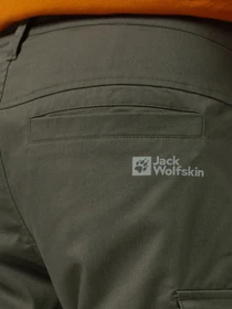 Брюки Jack Wolfskin Arctic Road Cargo модель 1505762_4341 Фото