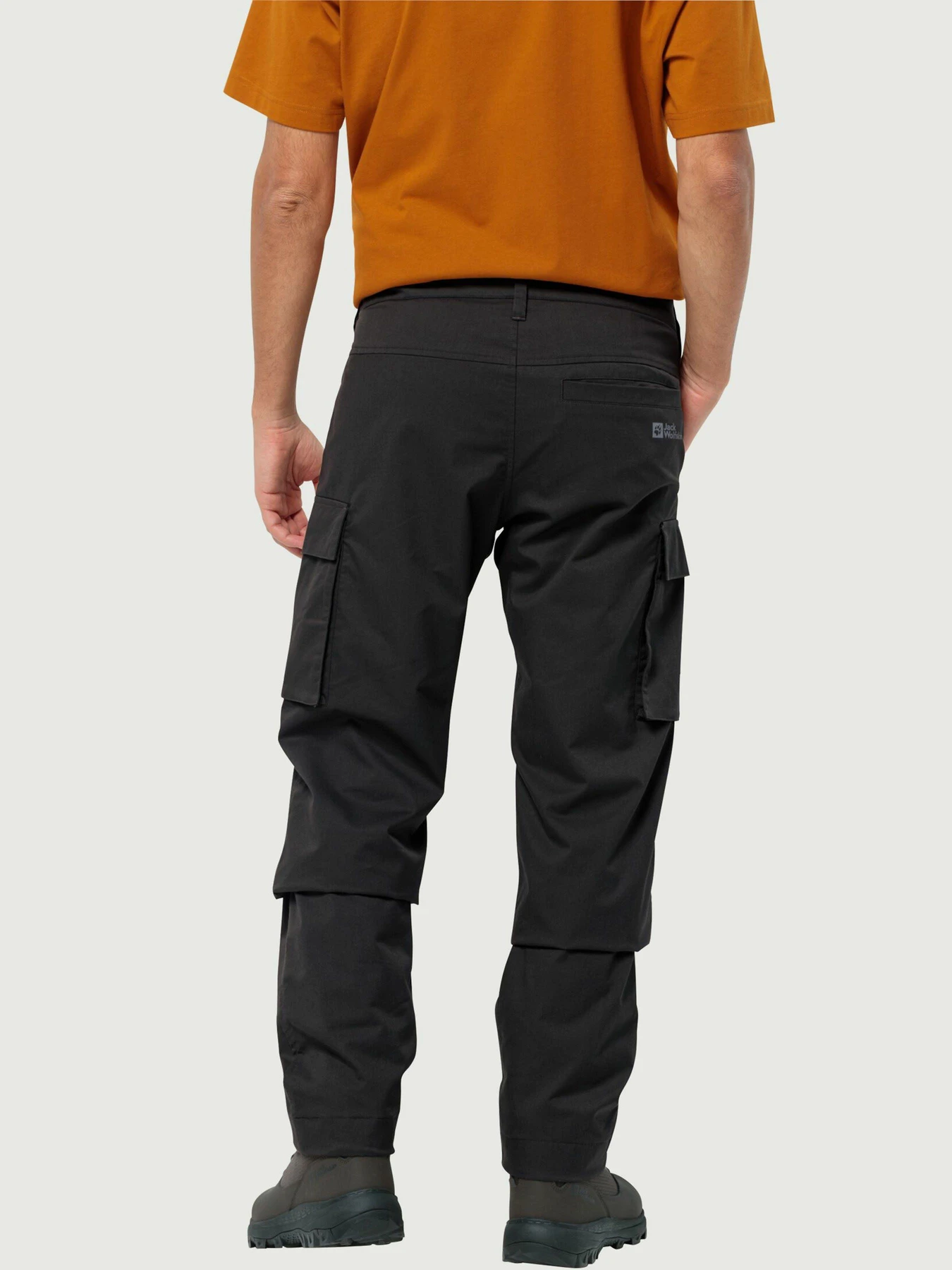 Брюки Jack Wolfskin Arctic Road Cargo модель 1505762_6000 Фото
