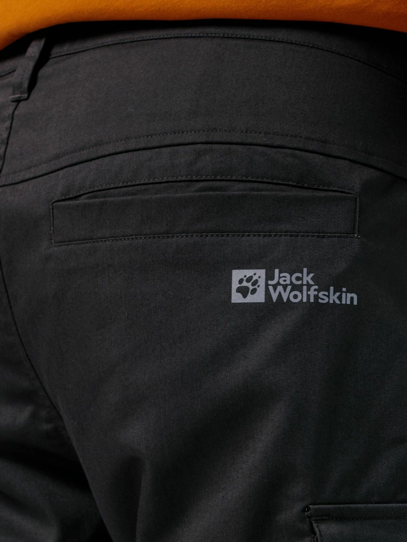 Брюки Jack Wolfskin Arctic Road Cargo модель 1505762_6000 Фото